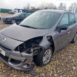 Renault Scenic Dyn