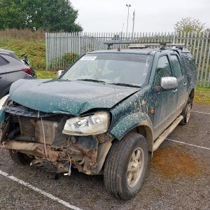 GREAT WALL STEED